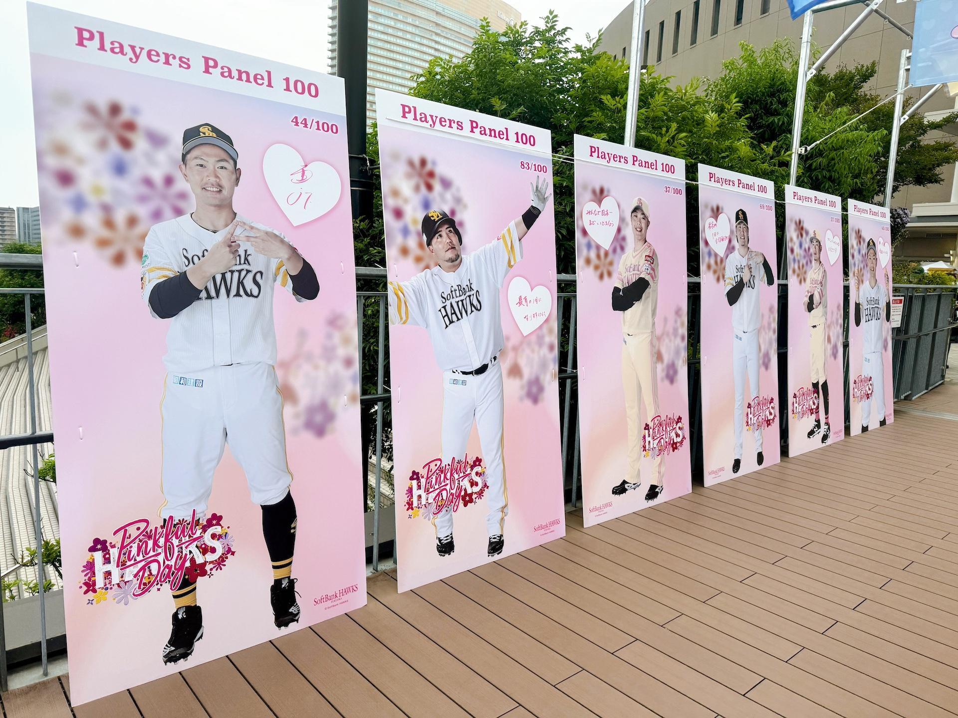 画像：博多あや.