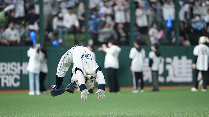 Leo performing acrobatics【©SEIBU Lions】