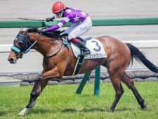 馬主は福岡ソフトバンクホークス・柳田悠岐選手 ゴッドヴァレーが2勝目なるか