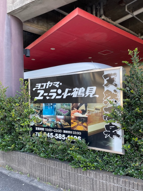 千葉ロッテマリーンズ・種市篤暉/2025年版 進化系 種市篤暉に注目