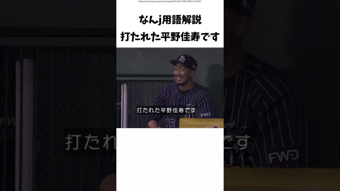 なんj用語解説 打たれた平野佳寿です #野球解説 #野球 #2ch なんj用語解説 打たれた平野佳寿です #野球解説 #野球 #2ch