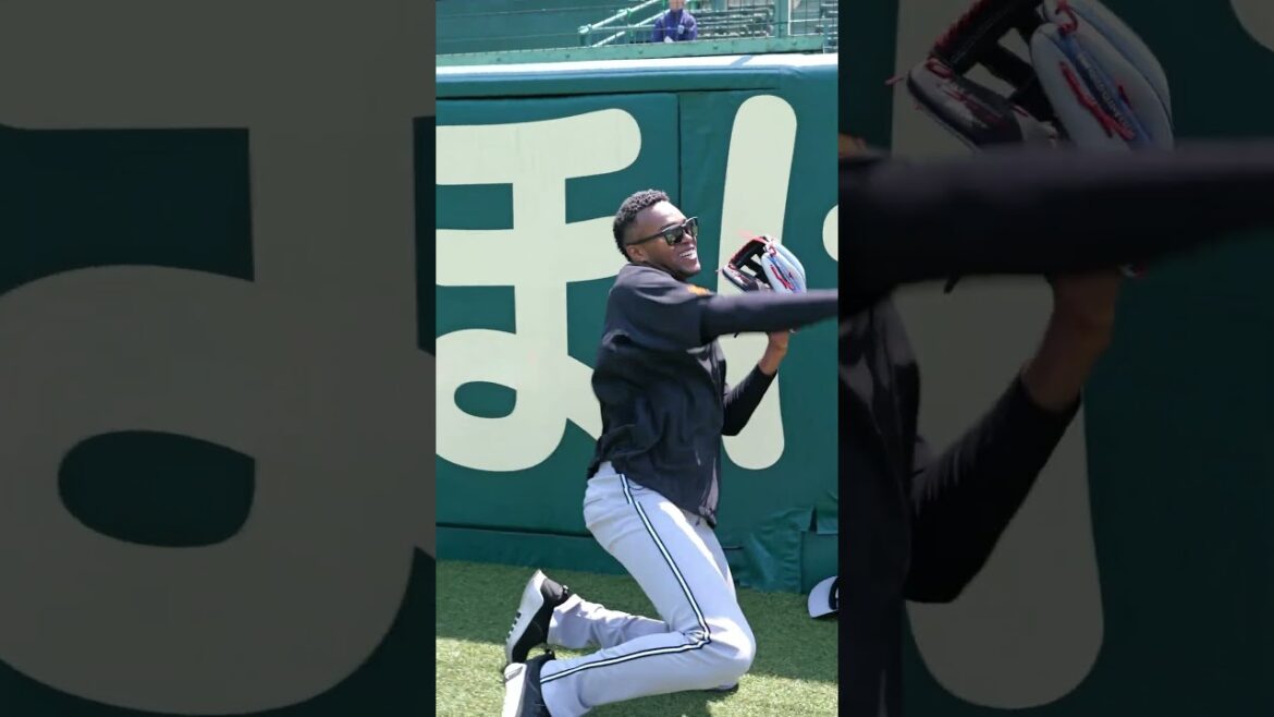 キャッチャー、マルティネス！#shorts