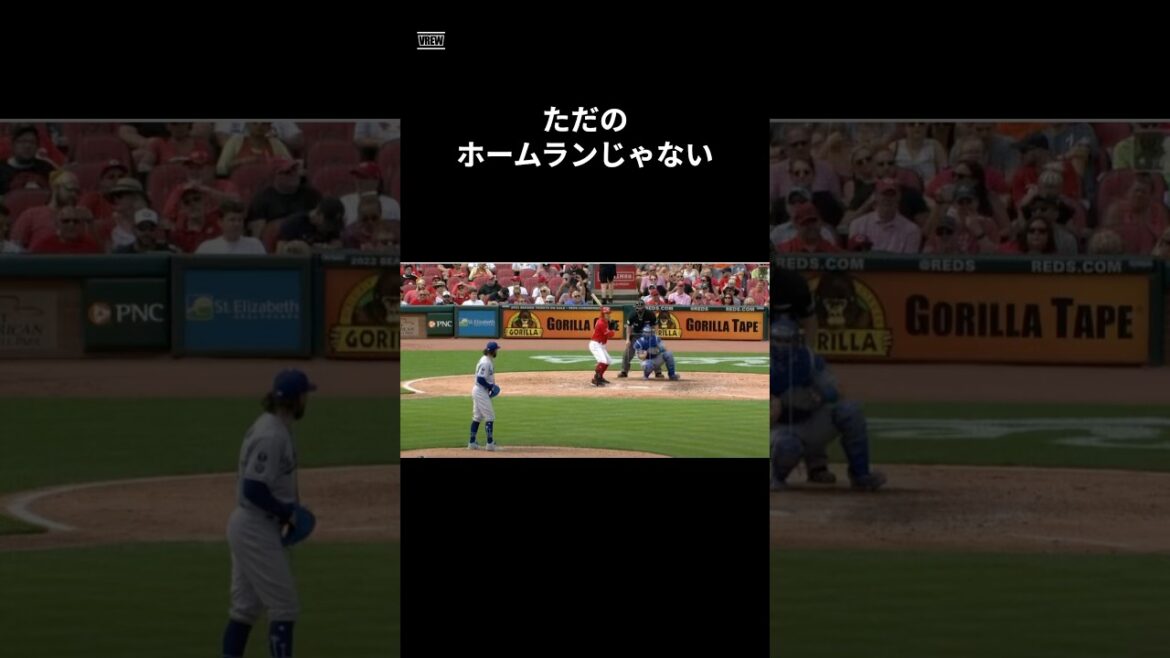 【優しさ】ほうもつになった思い出 #shorts #野球 #野球雑学 #雑学 #プロ野球 #メジャーリーグ #ベッツ #ムーキーベッツ 【優しさ】ほうもつになった思い出 #shorts #野球 #野球雑学 #雑学 #プロ野球 #メジャーリーグ #ベッツ #ムーキーベッツ