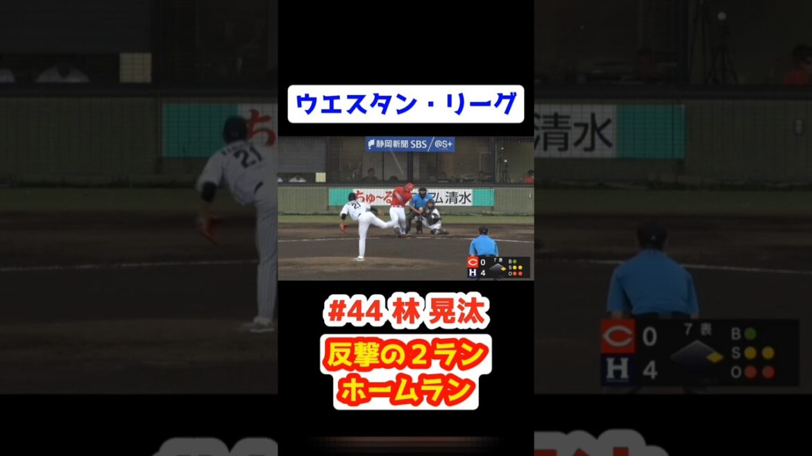ファーム くふうハヤテ vs カープ 2025/5/21【反撃の２ランホームラン】#44林晃汰 #carp #広島東洋カープ #広島 #ウエスタン