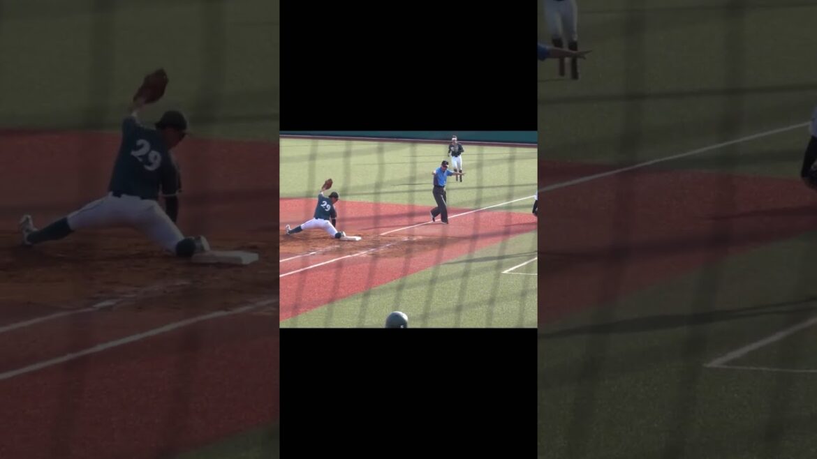 みてるのか！コラァー！　セーフの判定に観客もブチギレ　東都大学野球　専修大vs東農大　#大学野球 #東都大学野球 #ブチギレ #高校野球 #プロ野球 #野球