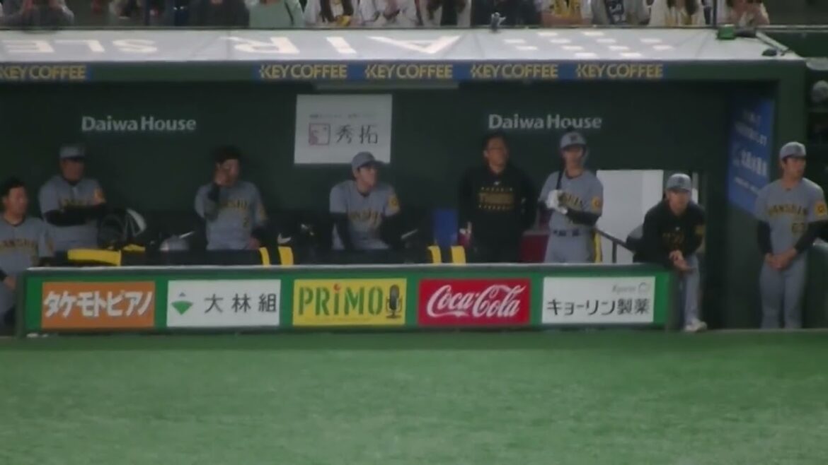 木浪聖也の打席の時のベンチの佐藤輝明や大山悠輔　2025年5月7日 東京ドーム 読売ジャイアンツ対 阪神タイガース