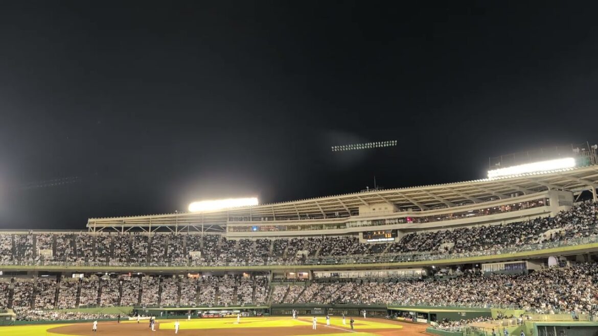 埼玉西武ライオンズ西日本限定チャンステーマロング10分 オリックス-西武 ほっともっとフィールド神戸 2025/5.31