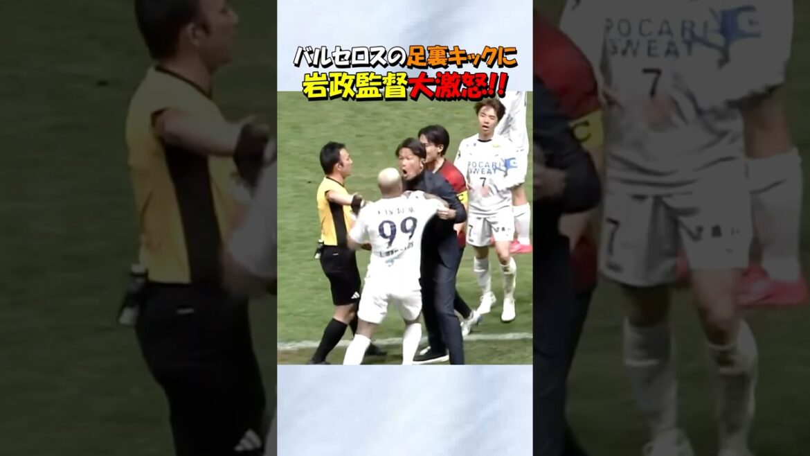 北海道コンサドーレ札幌の岩政監督 大激怒！！#shorts #北海道コンサドーレ札幌 #jリーグ #サッカー