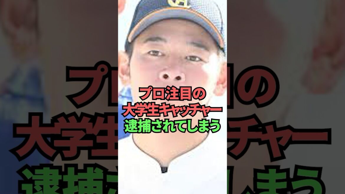 プロ注目の大学生キャッチャー逮捕されてしまう プロ注目の大学生キャッチャー逮捕されてしまう
