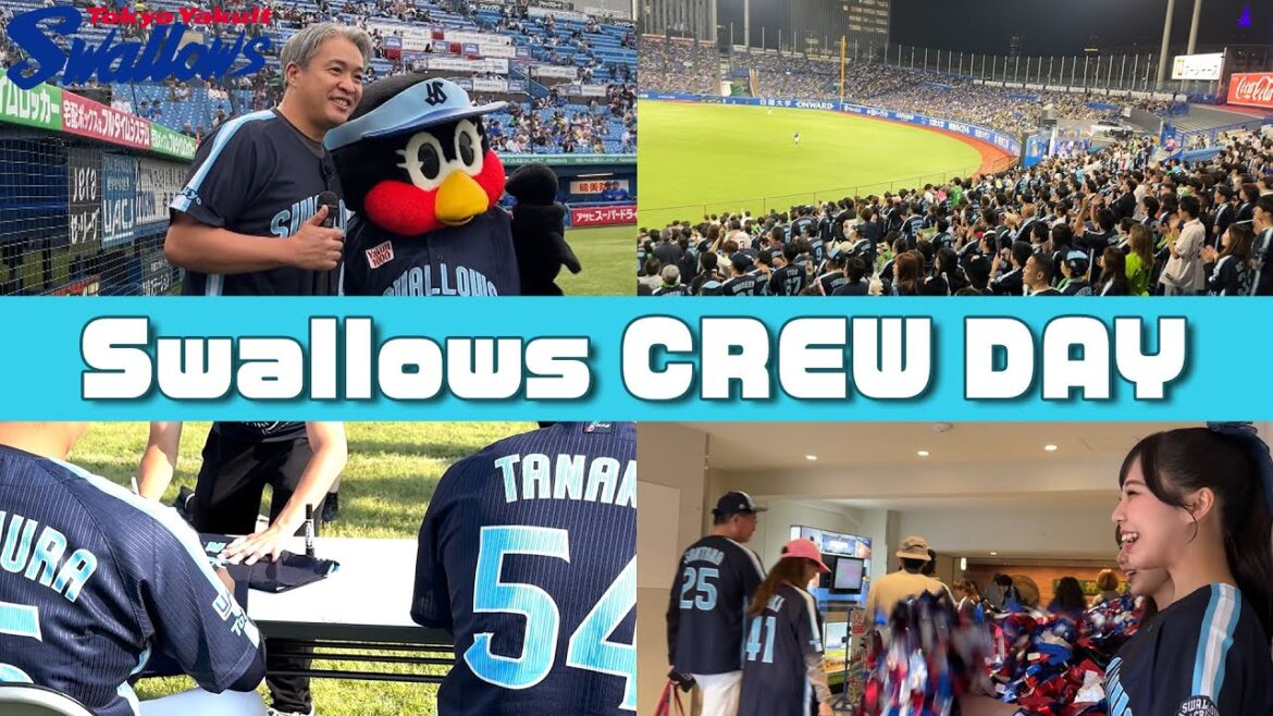 Swallows CREW DAY 2025第1弾ダイジェストをお届け！2025年5月16日～18日東京ヤクルトスワローズ