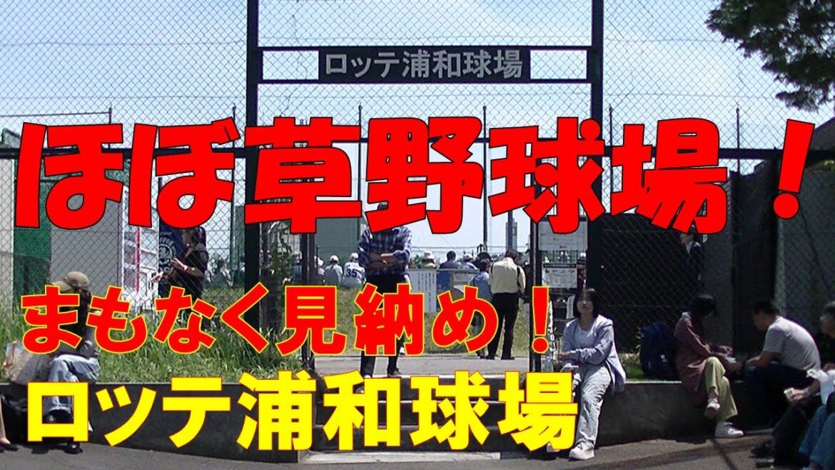 ロッテ浦和球場 ほぼ草野球場！タダで見れる！