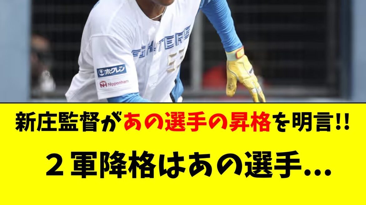 【日ハム】新庄監督があの選手の昇格を明言！降格はあの選手