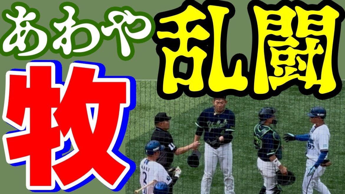 牧秀悟 高津ヤクルトにブチ切れ狙撃手大西広樹デッドボールあわや乱闘横浜DeNAベイスターズ2025年6月1日東京ヤクルトスワローズ高津臣吾死球三浦大輔監督バウアー中村悠平田中康浩コーチ