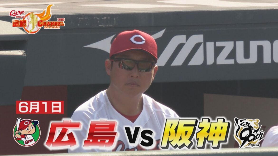 6月1日広島vs阪神ハイライト【カープ公認】金鯉チャンネル /広テレ！
