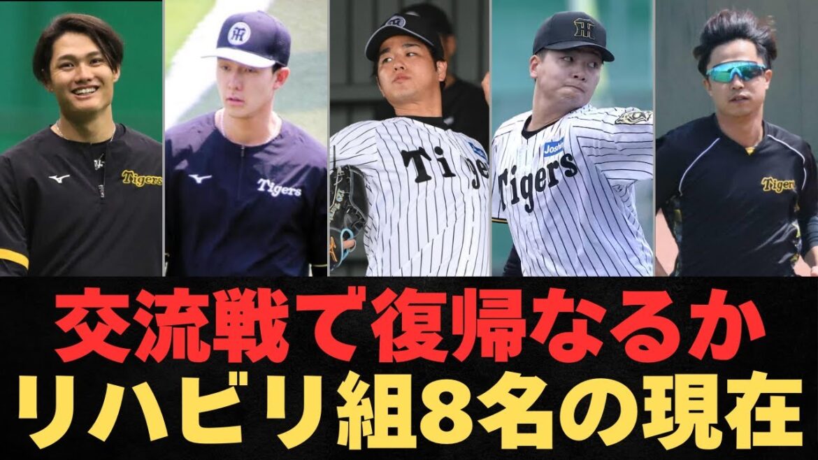 【ついに復帰か】リハビリ組8選手の最新情報まとめ!桐敷に続き復帰するのは?【阪神タイガース】 【ついに復帰か】リハビリ組8選手の最新情報まとめ!桐敷に続き復帰するのは?【阪神タイガース】