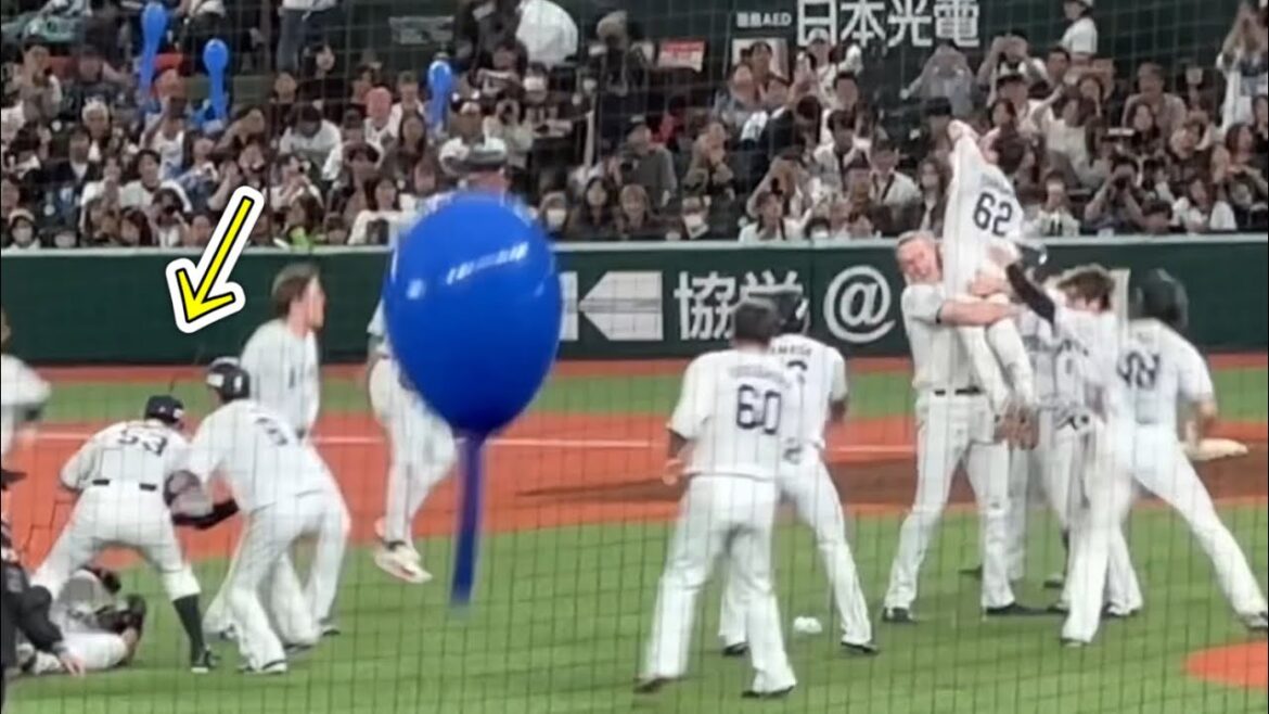 滝澤夏央 初のサヨナラヒットでライオンズ劇的勝利の瞬間！ネビンも大興奮！恒例のはたき込みも出た！【西武3-2オリックス】2025/5/17 ※NPBルール準拠のため、一部映像を加工しております