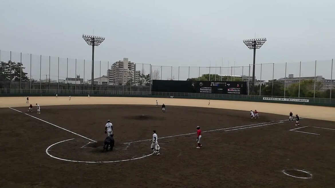 0201 もう少しでホームラン‼️