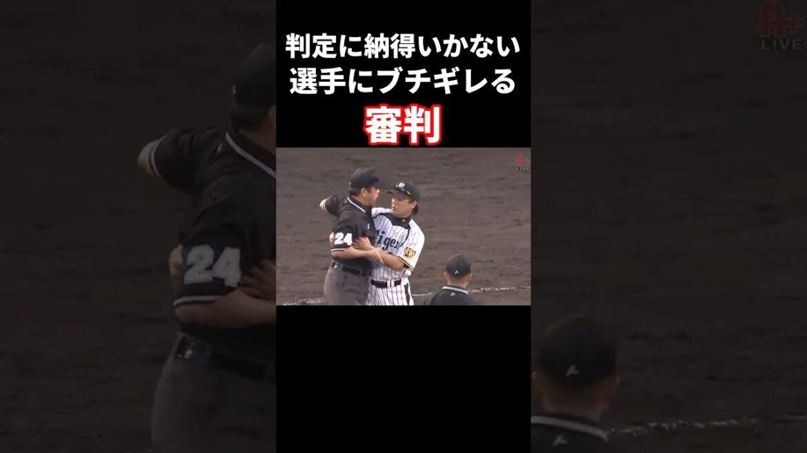 なぜか審判が逆ギレしてしまう #プロ野球