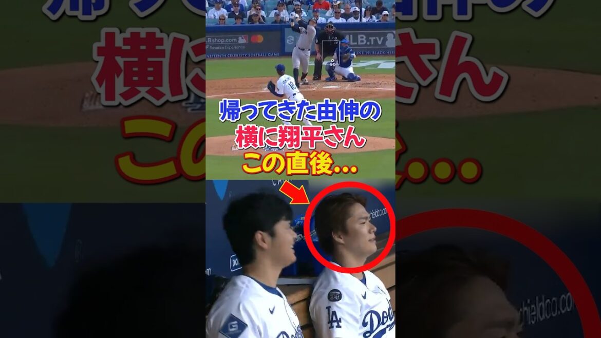 山本由伸がヤンキース戦で最短降板後、大谷翔平やロバーツ監督のとった行動が素敵...#ドジャース #山本由伸 #野球