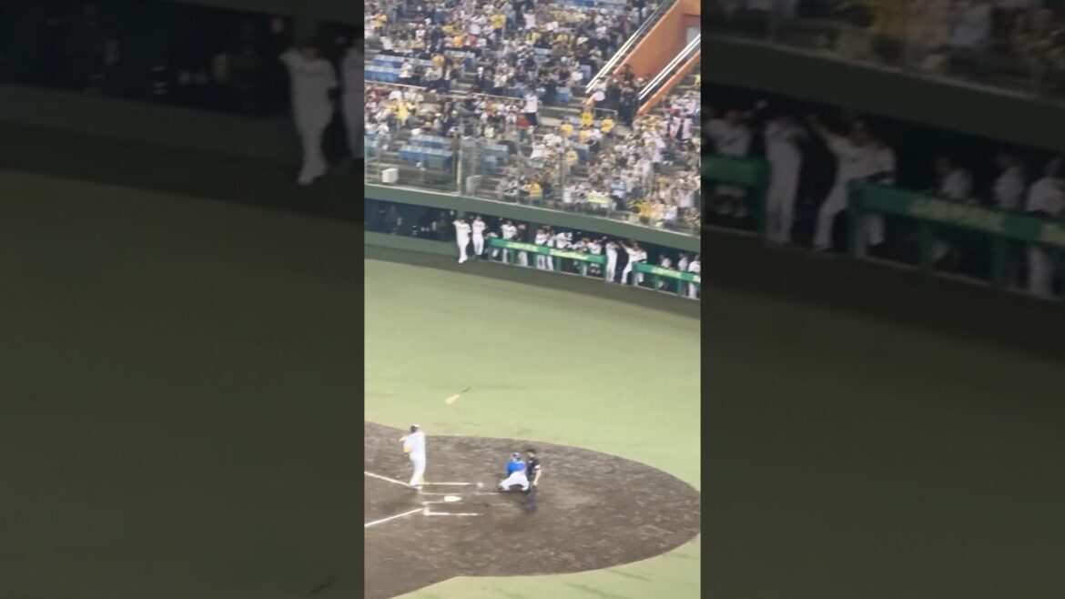 2025.5.27 阪神 今季初のサヨナラ勝ち 森下サヨナラ四球 バットを放り投げて喜びを爆発 歓喜のウォーターシャワー