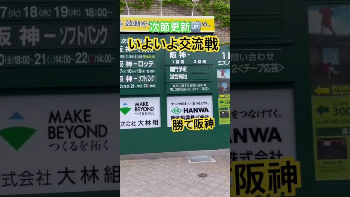 #阪神甲子園球場 #阪神タイガース #hanshintigers #甲子園 #阪神 #野球 #阪神応援 #hanshin #tigers #koshien #交流戦 #オリックス #ソフトバンク #阪