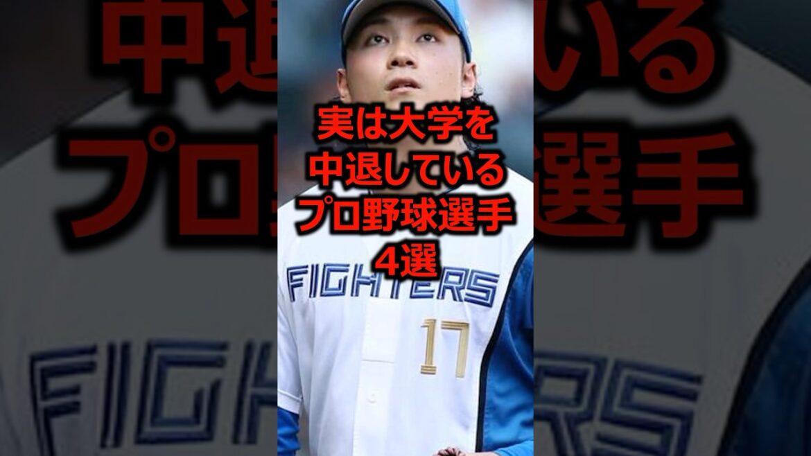 実は大学を中退しているプロ野球選手4選 #プロ野球 #野球 #大学野球