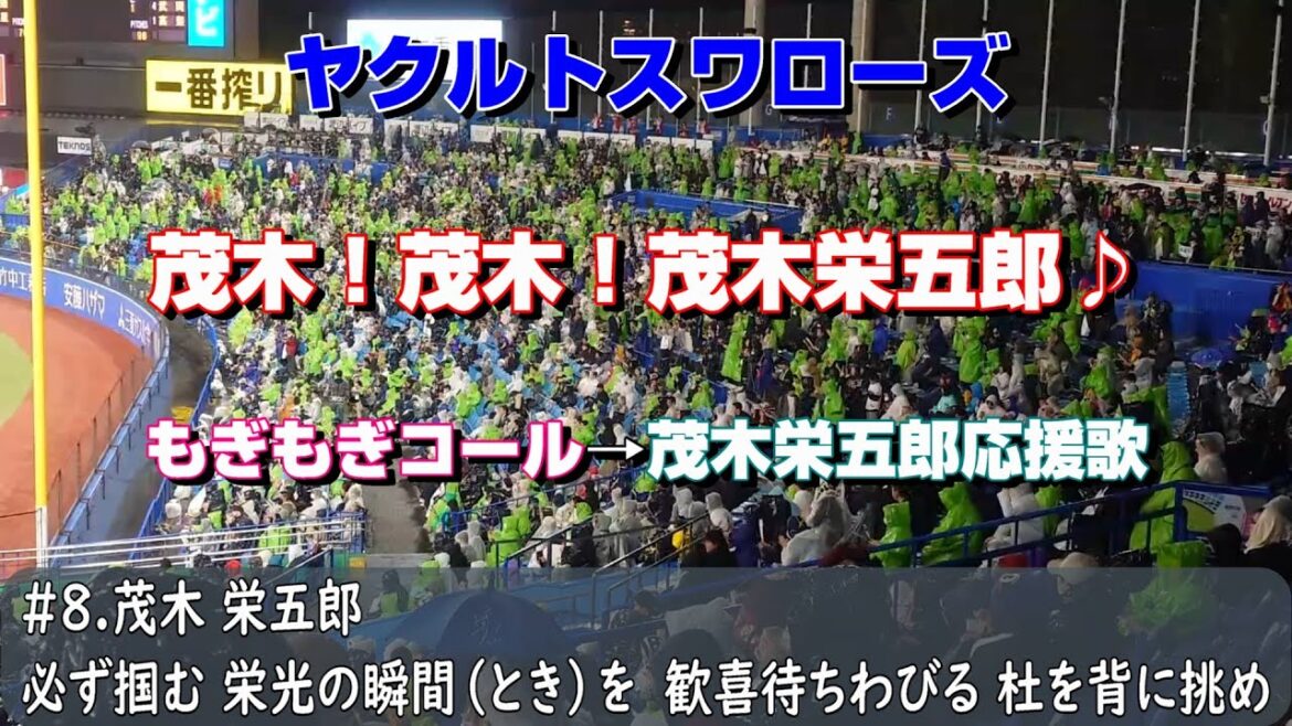 ヤクルトスワローズ　もぎもぎコール→茂木栄五郎応援歌（歌詞付き）2025.5.9