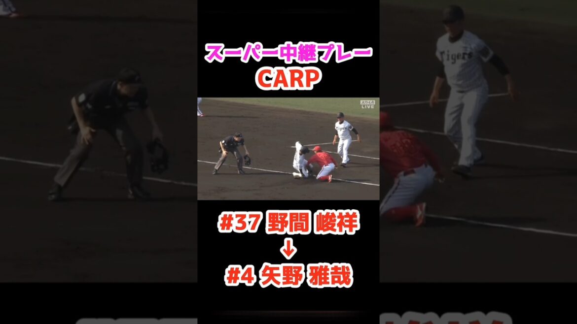 2025/4/19 タイガース vs カープ 【スーパー中継プレー】#37野間峻祥 #4矢野雅哉 #carp