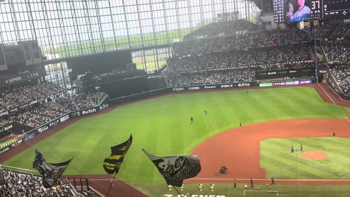 【エスコンに響く爆声】エスコンの左半分を見事に埋めた阪神ファン 試合前1-9応援歌 【エスコンに響く爆声】エスコンの左半分を見事に埋めた阪神ファン 試合前1-9応援歌