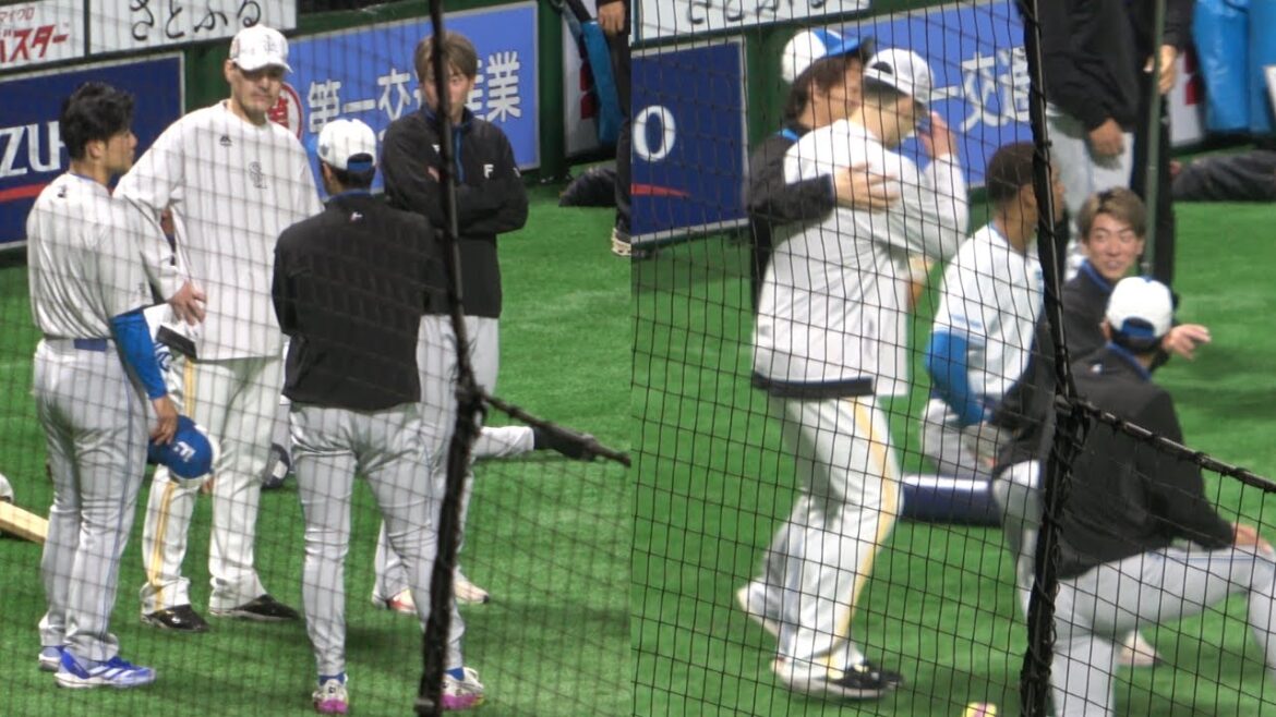 清宮幸太郎、松本剛、宮西と談笑する有原航平【北海道日本ハムファイターズvs福岡ソフトバンクホークス】プロ野球オープン戦2025 清宮幸太郎、松本剛、宮西と談笑する有原航平【北海道日本ハムファイターズvs福岡ソフトバンクホークス】プロ野球オープン戦2025