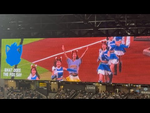 【名物は健在】きつねダンス タイガースガールズ&トラッキーコラボ 【名物は健在】きつねダンス タイガースガールズ&トラッキーコラボ