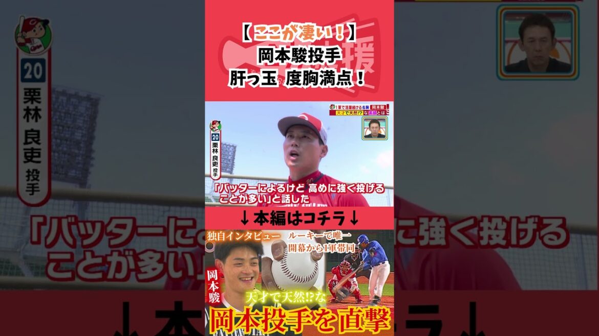 岡本駿のここが凄い!「肝っ玉 度胸満点」 #カープ #岡本駿 #栗林良吏 岡本駿のここが凄い!「肝っ玉 度胸満点」 #カープ #岡本駿 #栗林良吏