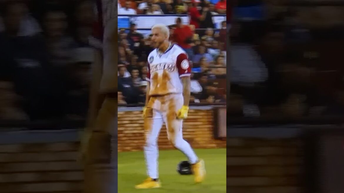 José Siri en la Liga Dominicana