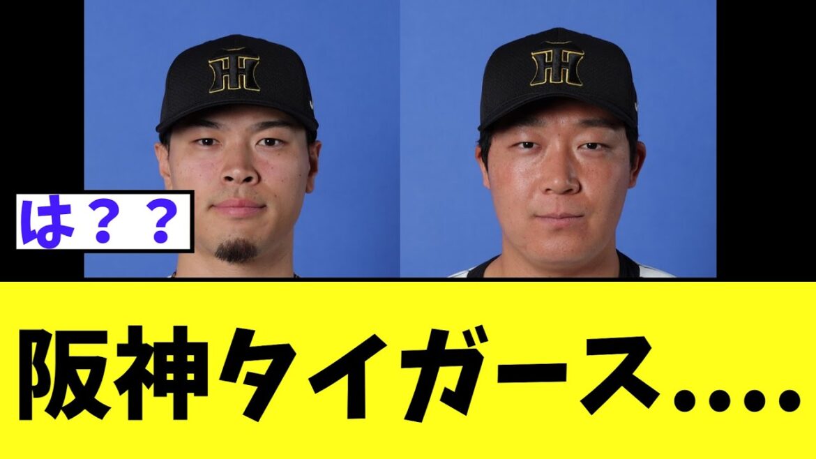 阪神タイガース....
