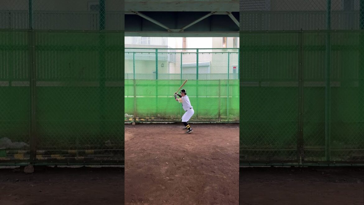 空振り後、競技が剣道に変わる嶺井博希選手