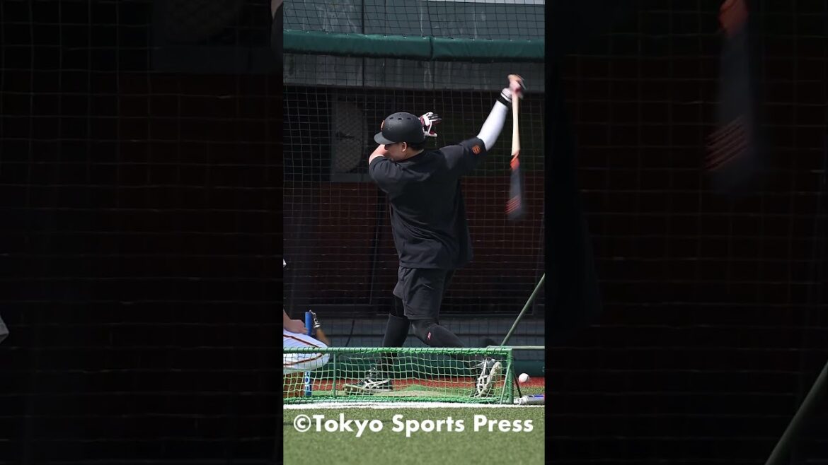 1軍に復帰した丸佳浩のバッティング練習　#shorts  #giants #ジャイアンツ #読売ジャイアンツ #丸佳浩