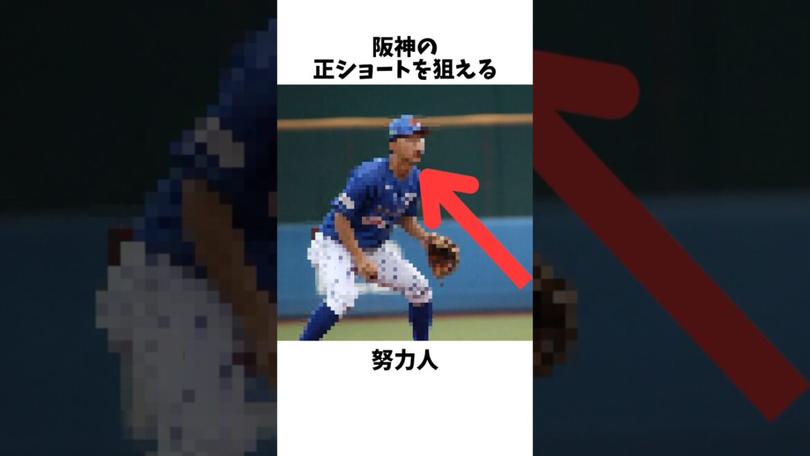 阪神のショートを狙う走攻守揃った努力人#プロ野球#阪神タイガース#川崎俊哲