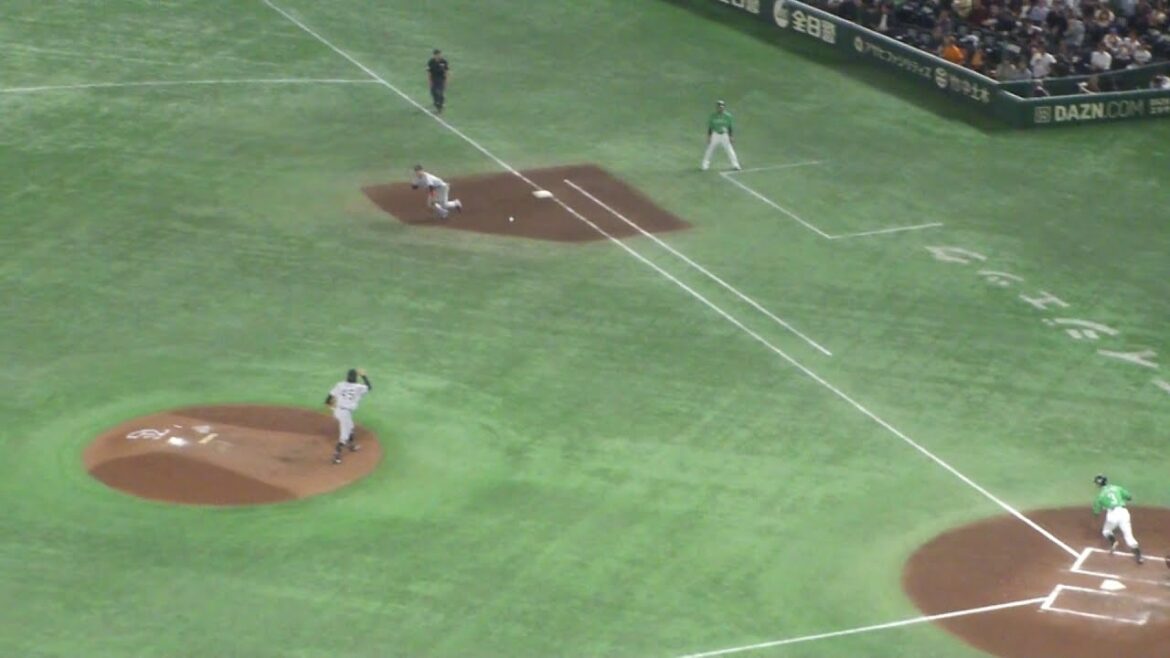 ヤクルト 西川遥輝 タイムリーヒット　巨人 vs ヤクルト　2025年5月24日(土) 東京ドーム