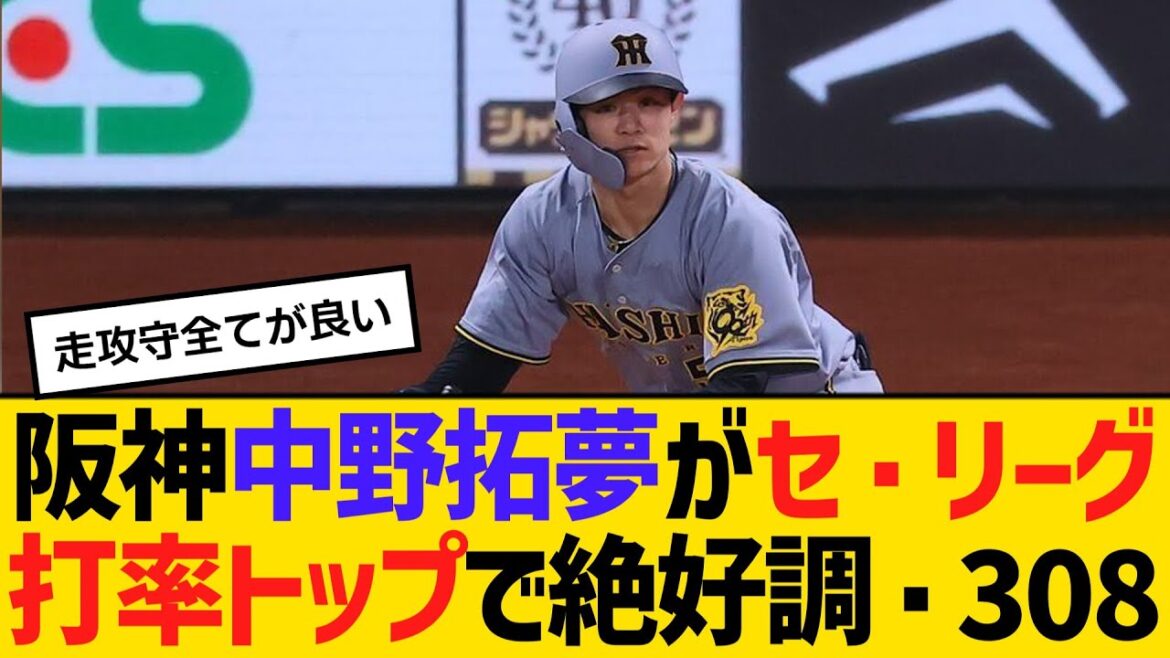 阪神中野拓夢がセ・リーグ打率トップで絶好調・308　【ネットの反応】【反応集】