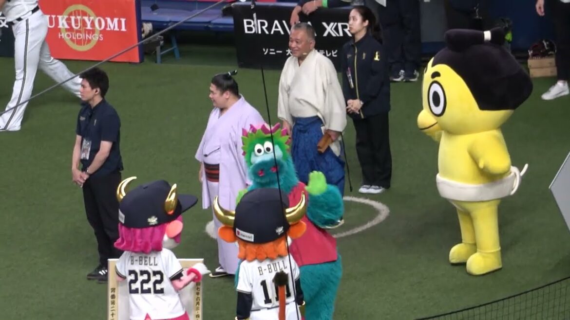 土俵からマウンドへ！宇良関による始球式！