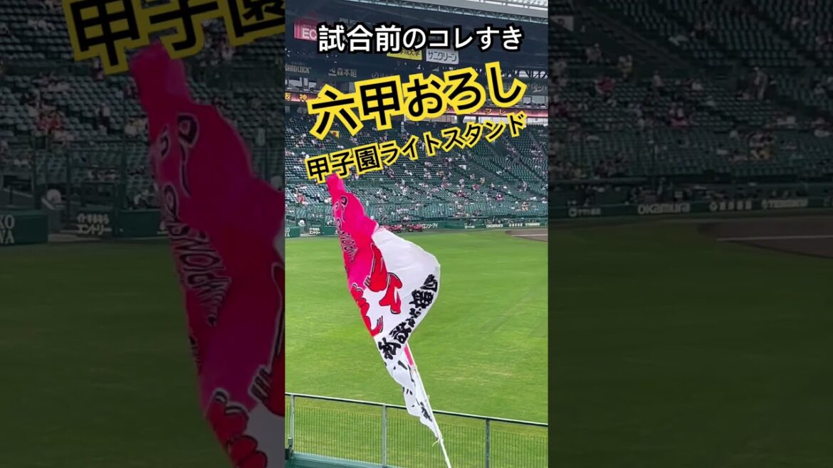 #阪神タイガース #六甲おろし #阪神甲子園球場 #hanshintigers #甲子園 #阪神 #タイガース #hanshin #tigers #koshien #阪神応援 #阪神応援 歌 #野球