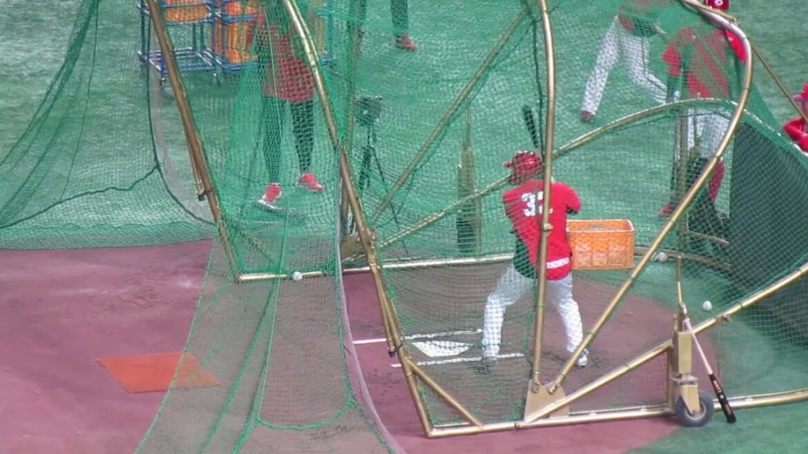 石原貴規フリーバッティング＜読売ジャイアンツ 対 広島カープ 2025年4月30日＞