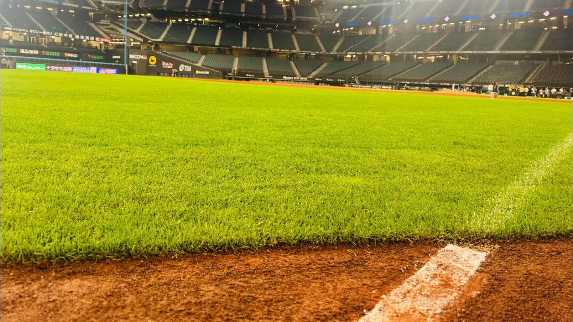 【これで1500円】エスコン 試合後のグランドウォークが凄すぎた