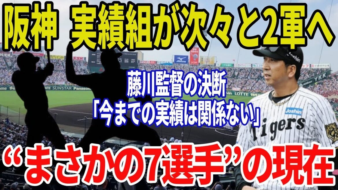 【実績ありでも容赦なし】藤川阪神で構想外に…一軍実績ある7選手に“まさかの現実”が襲う【阪神タイガース】