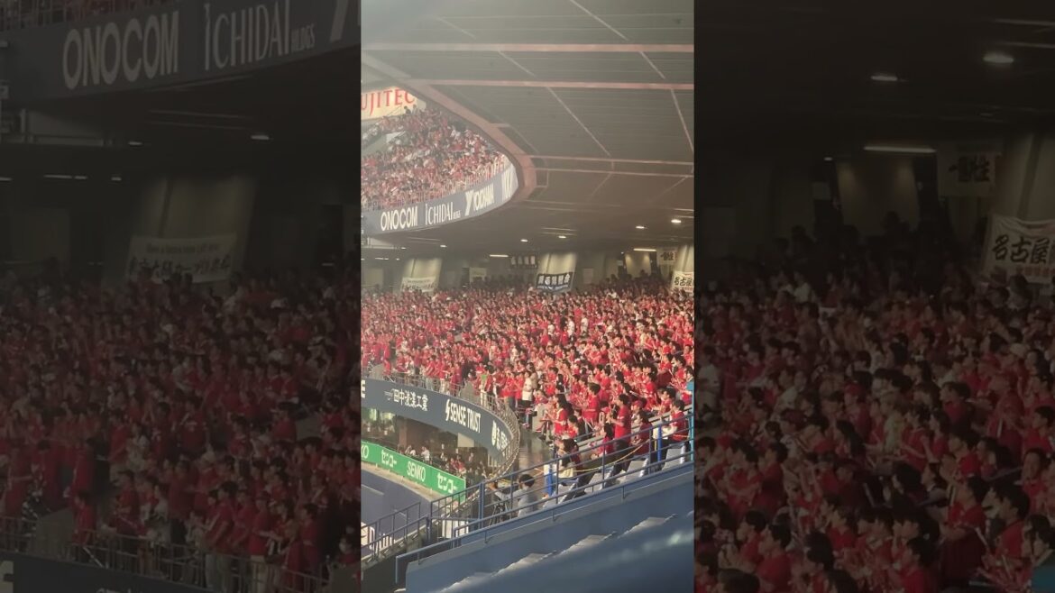 交流戦2025 広島東洋カープ応援 #広島東洋カープ #チャンステーマ