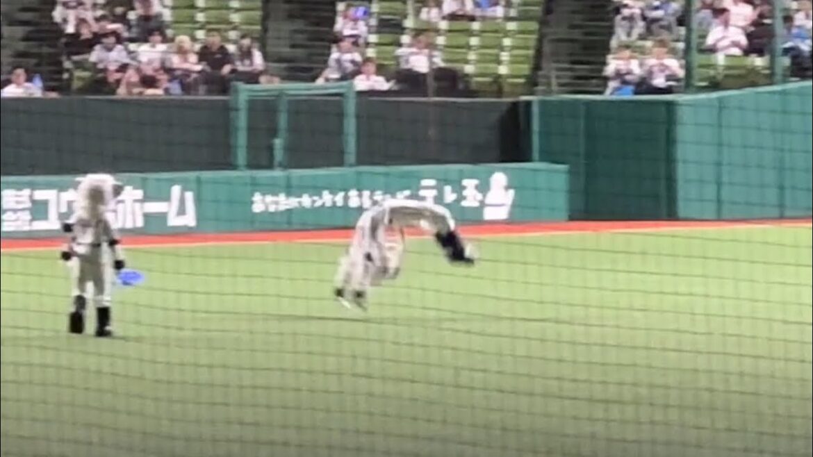 ライオンズ 25年ぶり完封記録!盛り上がるベンチ➡︎レオのバク転13回転!【西武6-0楽天】2025/5/28 ライオンズ 25年ぶり完封記録!盛り上がるベンチ➡︎レオのバク転13回転!【西武6-0楽天】2025/5/28