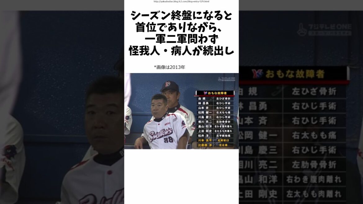 なんj用語解説　ヤ戦病院　#2ch  #東京ヤクルトスワローズ   #プロ野球