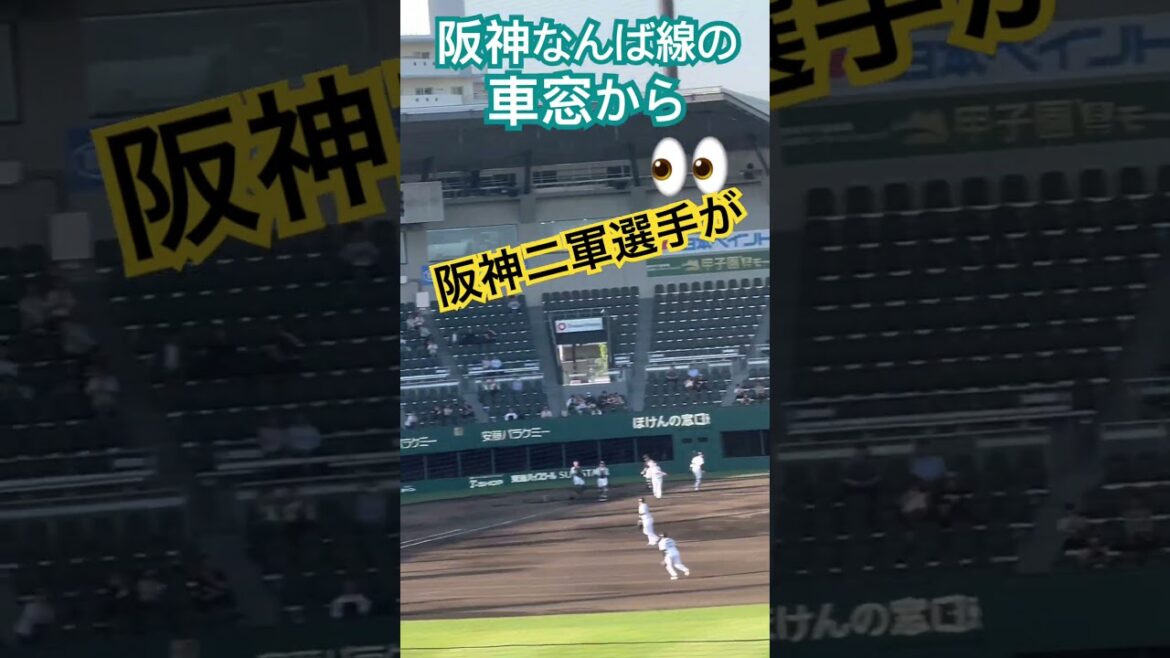 #阪神タイガース #阪神 #sglスタジアム #尼崎 #大物 @ #hanshintigers #hanshin #tigers #撮り鉄 #車窓 #シートノック