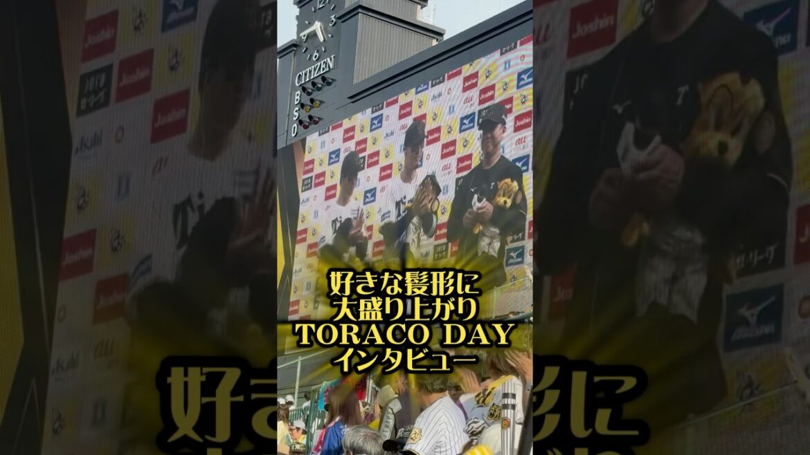 TORACODAYヒーローインタビュー5/10 #佐藤輝明 #森下翔太 #村上頌樹 #toraco #阪神甲子園球場 #ヒーローインタビュー #阪神タイガース #阪神 #阪神ファン #髪形 #髪型