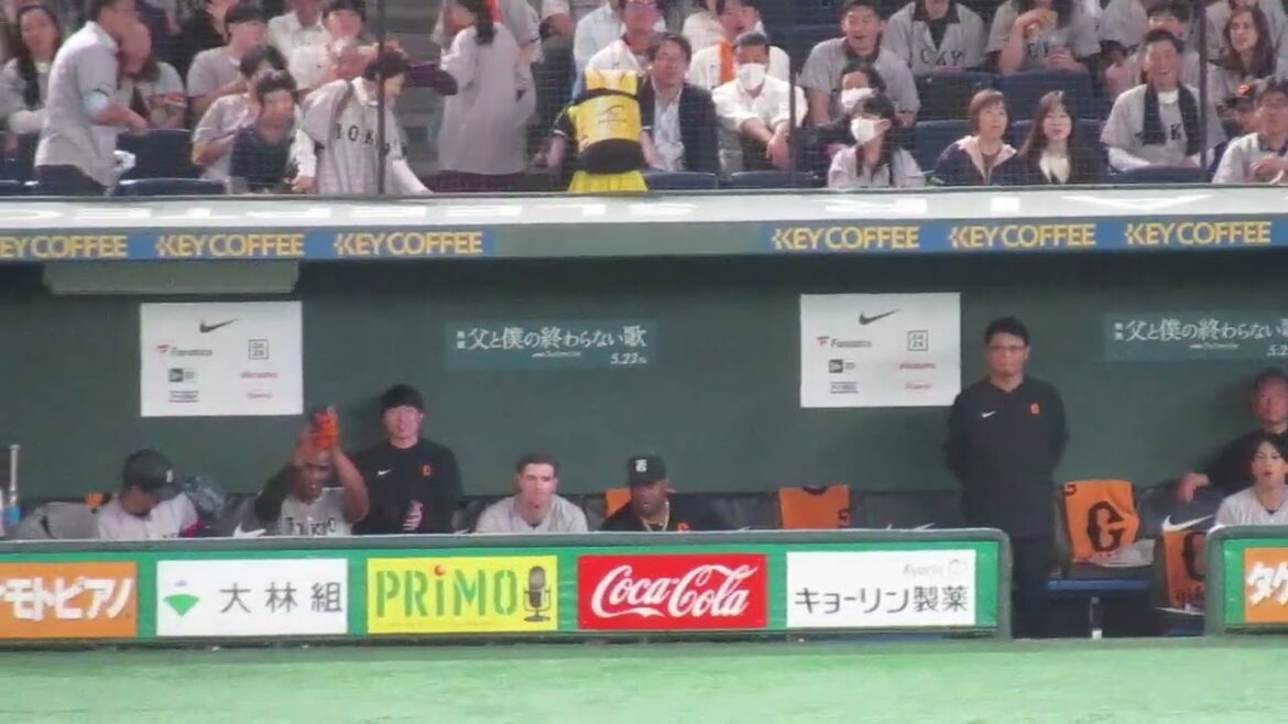 浅野翔吾のヒットに喜ぶベンチの中山礼都や増田大輝【読売ジャイアンツ対 ヤクルトスワローズ2025年5月23日】